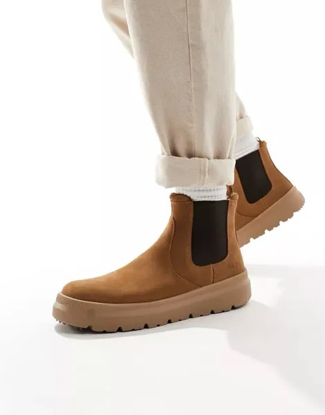 Темно-бордовые ботинки UGG Burleigh Chelsea