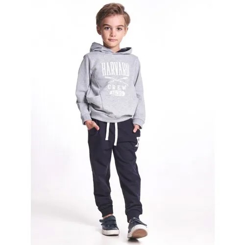 Костюм Mini Maxi, размер 98, серый