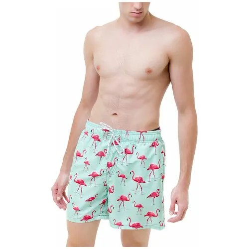 Плавательные шорты с принтом Фламинго, с сеткой внутри, размер S