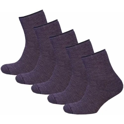 Носки STATUS, 5 пар, размер 23-25, фиолетовый