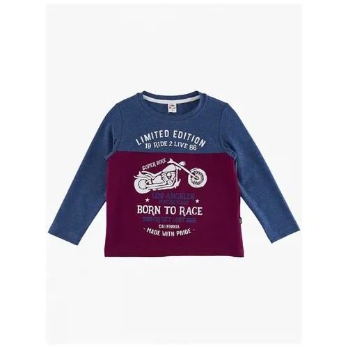 Лонгслив для мальчиков Mini Maxi, модель 4878, цвет бордовый/синий, размер 104