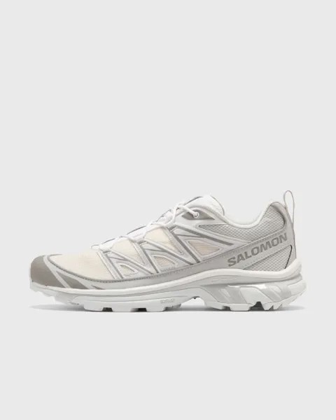 Кроссовки Salomon Xt-6 Expanse, цвет vanilla ice/wht/allo