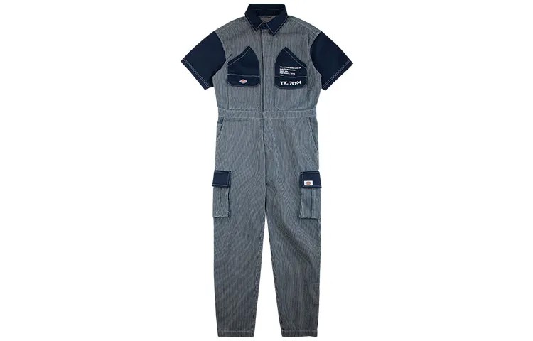 Мужской комбинезон Dickies, цвет blue and white vertical stripes