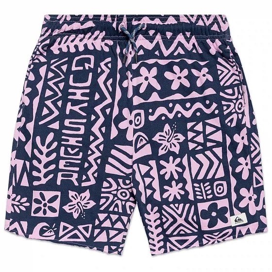 Шорты Quiksilver