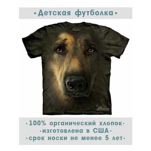 Футболка The Mountain, размер S-Y, коричневый