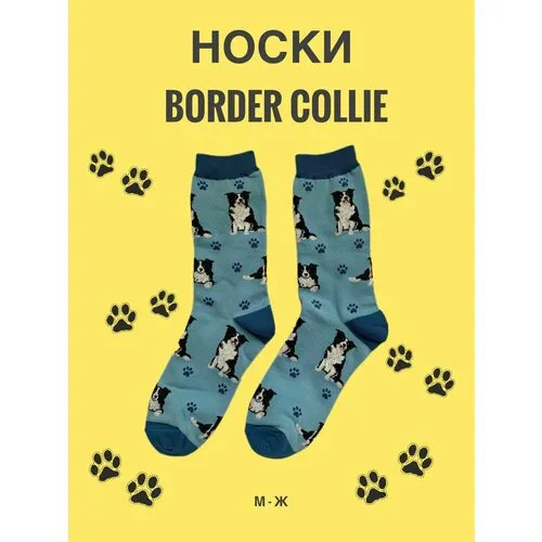 Носки SockDaddy Бордер-колли, размер 36/43, белый, голубой, черный