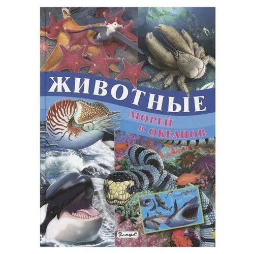 Родригес К. 