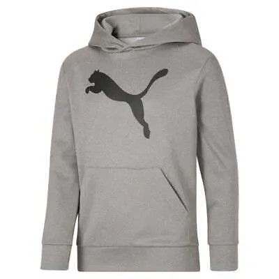 Puma Classics Cat Logo Pullover Hoodie Youth Boys Серая повседневная верхняя одежда 858639-0