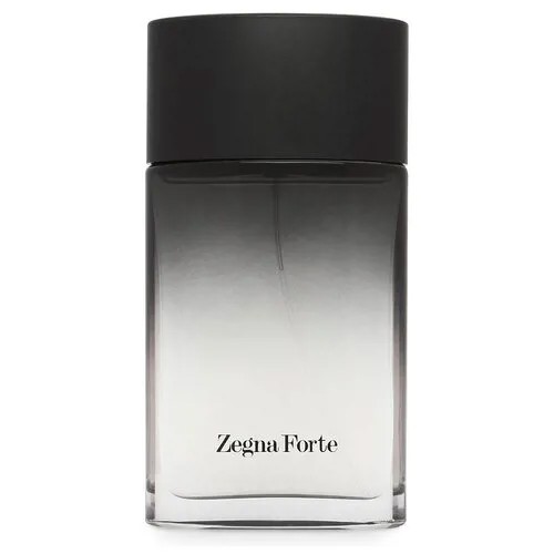 Туалетная вода Ermenegildo Zegna Zegna Forte, 100 мл