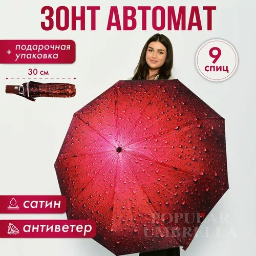 Зонт Popular, бордовый