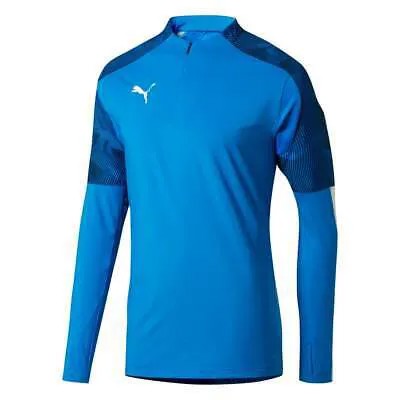 Puma Cup Training 14 Zip Sweater Mens Blue Casual Tops 656016-22