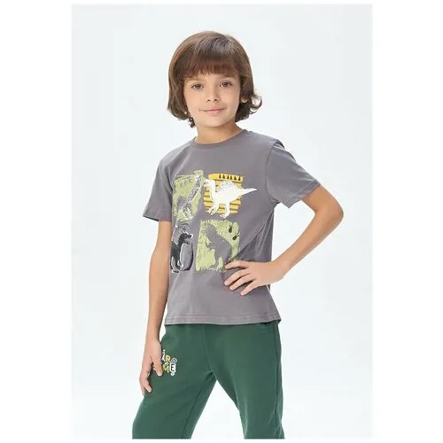 Фуфайка (футболка) детская для мальчиков AW21C41103317