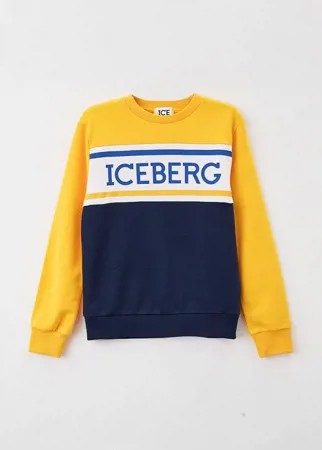 Свитшот Ice Iceberg