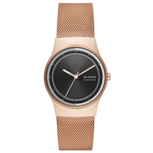 Наручные часы Skagen SKW3023