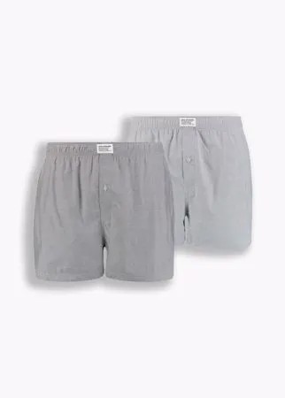 Levi's® Basic Boxer Brief - 2 Pack