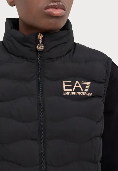Жилет JACKET EA7 Emporio Armani, черный