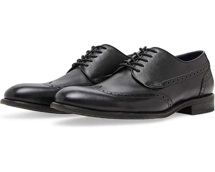 Оксфорды Steve Madden Aamari, черный