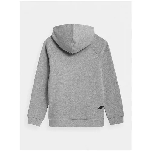 Толстовка 4F BOY'S SWEATSHIRTS Дети HJZ21-JBLM001-27M 152