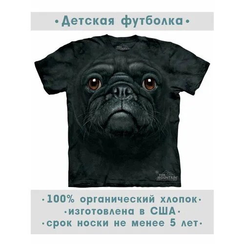 Футболка The Mountain, размер S-Y, черный