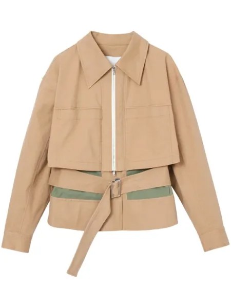 Многослойная куртка с поясом 3.1 Phillip Lim, бежевый