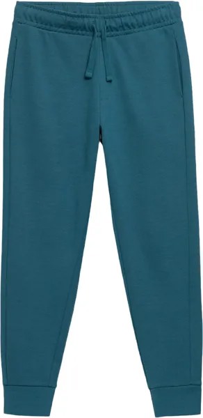 Спортивные брюки мужские Outhorn HOL22-SPMD606 синие L
