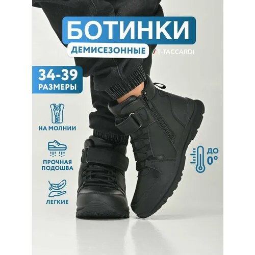 Ботинки T.Taccardi, размер 35, черный