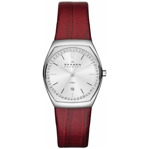 Наручные часы SKAGEN