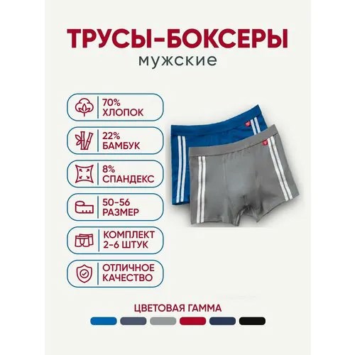 Трусы Vericoh, размер 2XL, синий, серый