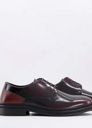 Бордовые кожаные ботинки на толстой подошве со шнуровкой Silver Street-Красный