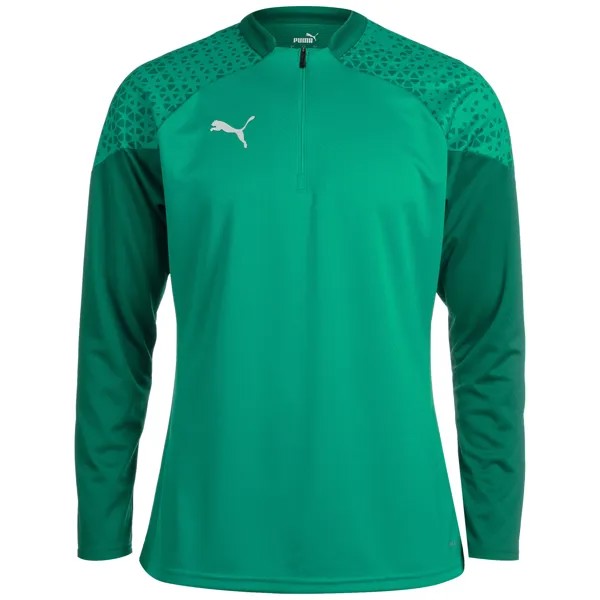 Лонгслив Puma teamCUP 1/4 Zip, цвет grün/dunkelgrün