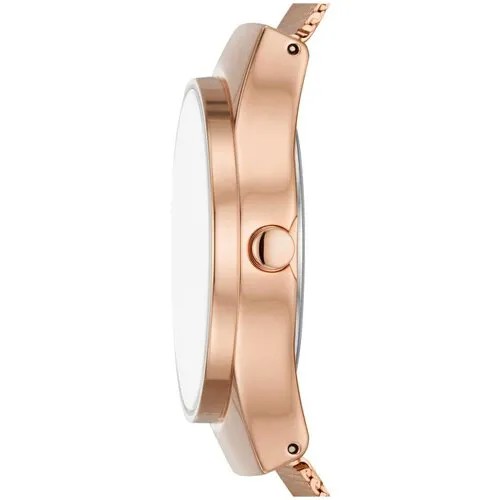 Наручные часы Skagen SKW3023