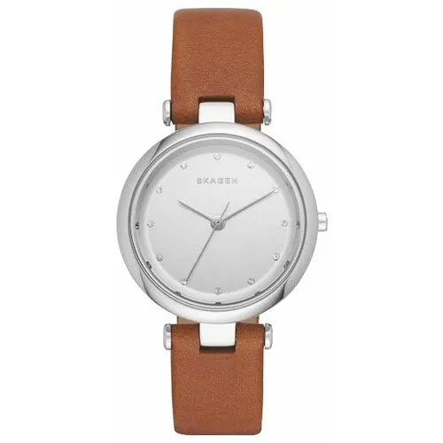 Наручные часы Skagen SKW2458