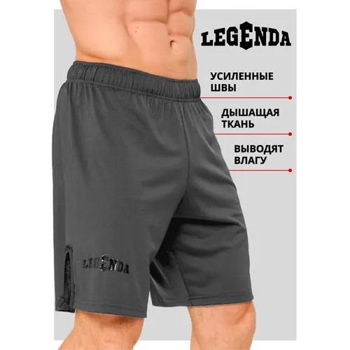 Шорты  Legenda, размер 2XL, серый