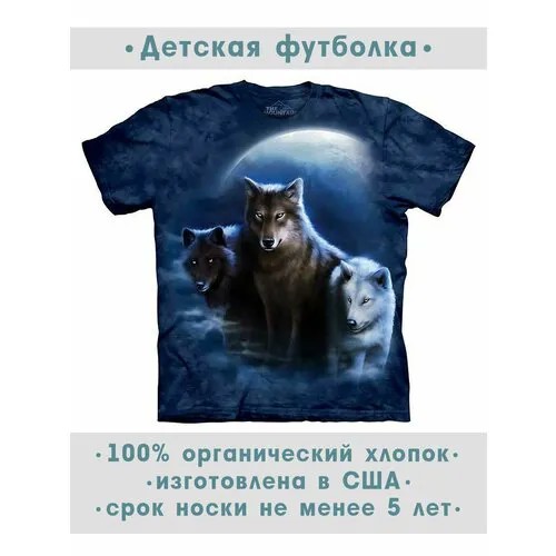 Футболка The Mountain, размер S-Y, синий