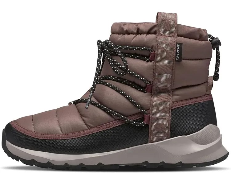 Ботинки The North Face ThermoBall Lace-Up Waterproof, цвет Deep Taupe/TNF Black