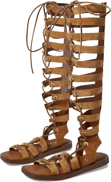 Сандалии на плоской подошве Sun Chaser Gladiator Sandal Free People, цвет Tan