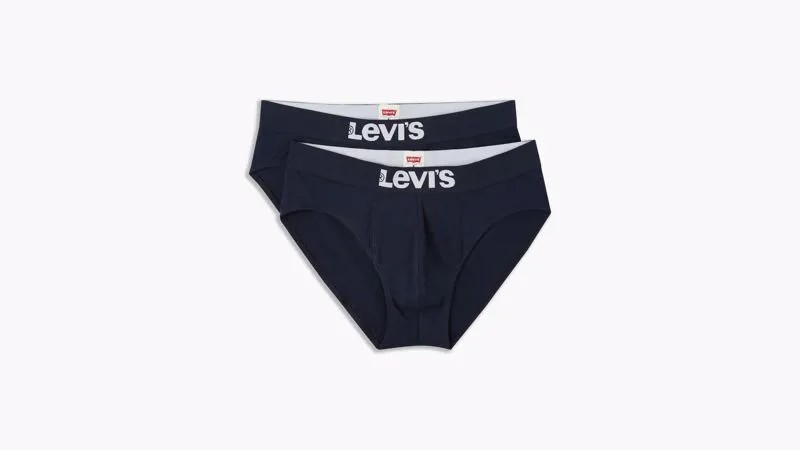 Brief Solid Basic
