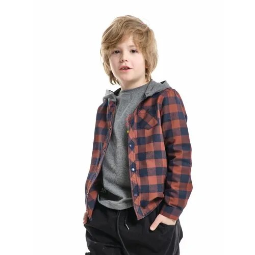 Рубашка Mini Maxi, размер 116, мультиколор