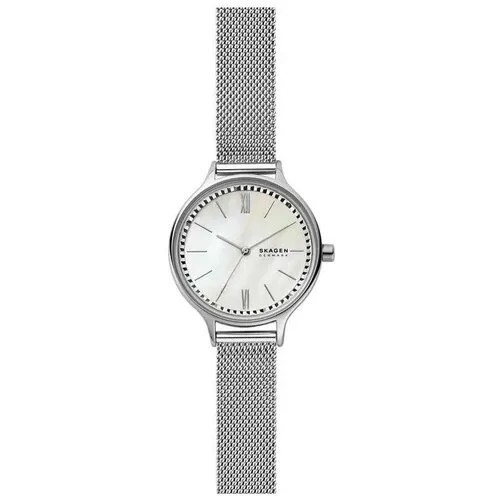 Наручные часы Skagen SKW2966