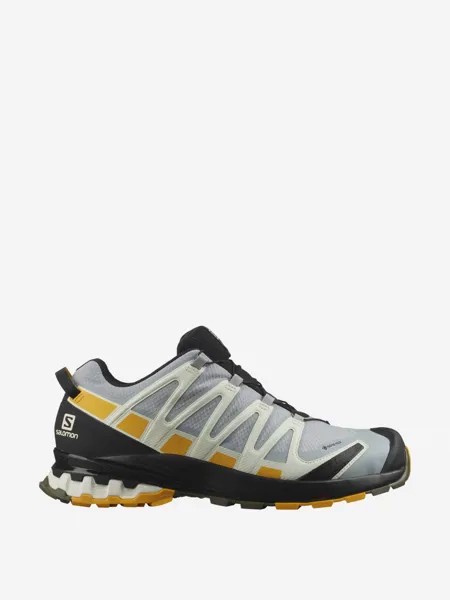 Полуботинки мужские Salomon Xa Pro 3D V8 GTX, Серый