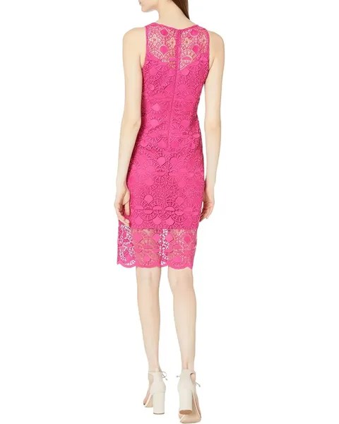 Платье Adrianna Papell Sunrise Lace Illusion Sheath Dress, цвет Bright Azalea