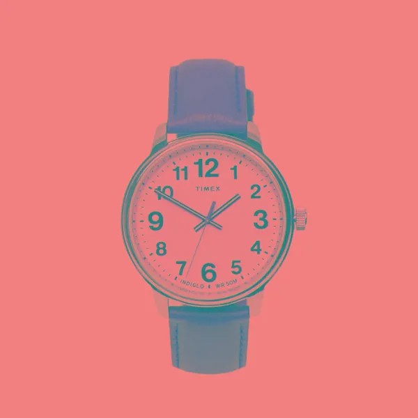 Наручные часы Timex Easy Reader Bold