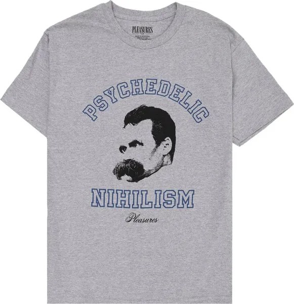 Футболка Pleasures Psychedelic Nihilism T-Shirt 'Grey', серый