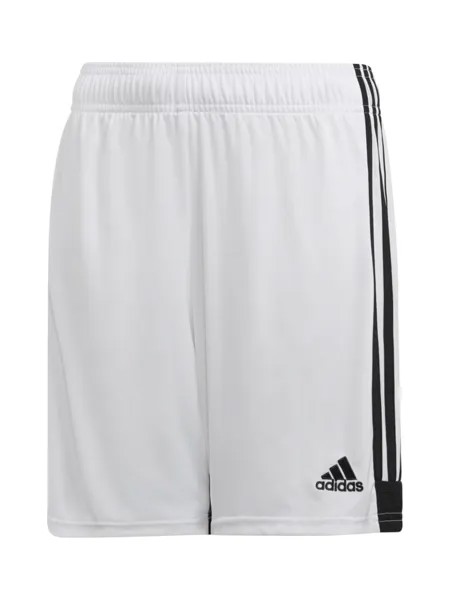 Обычные тренировочные брюки ADIDAS PERFORMANCE Tastigo 19, белый