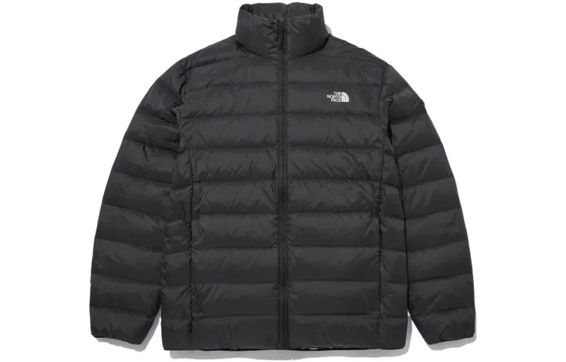 THE NORTH FACE Мужской пуховик, цвет Black