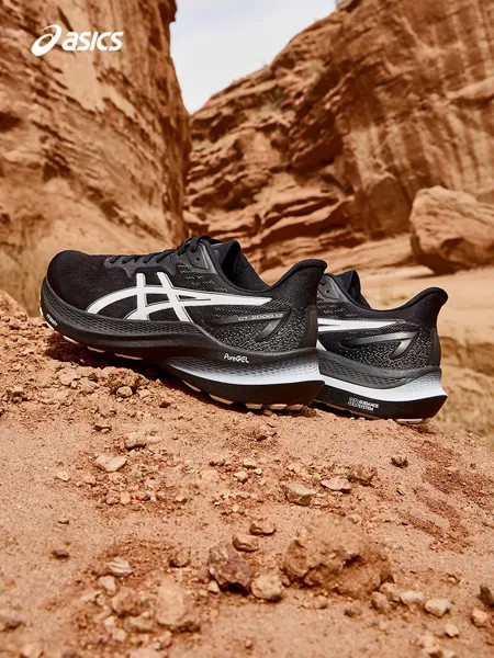 Кроссовки мужские Asics GT00 12 со стабильной поддержкой, черный / серый
