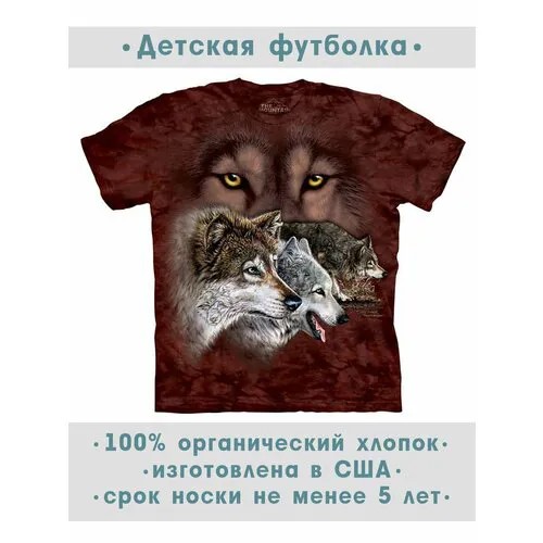 Футболка The Mountain, размер S-Y, коричневый