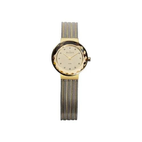 Наручные часы Skagen 456SGS1