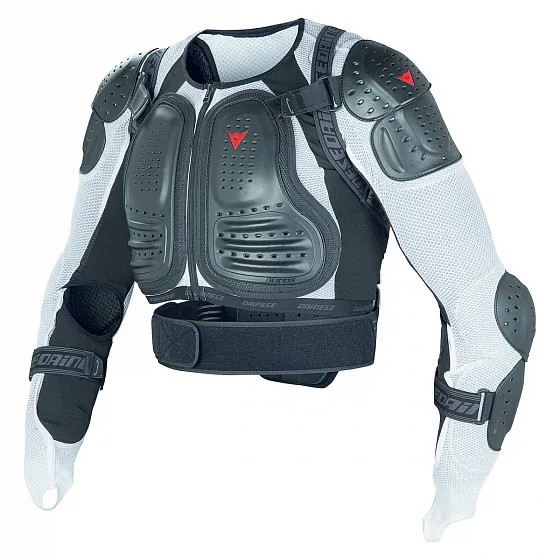 Защита Dainese