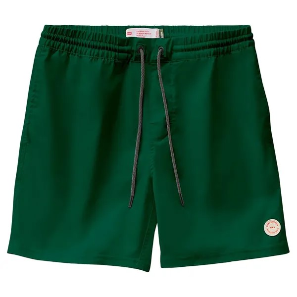 Шорты для плавания Globe Clean Swell Poolshort, зеленый